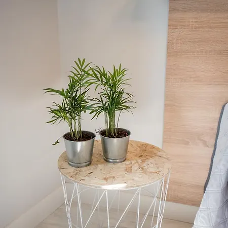 River Apartment Santander