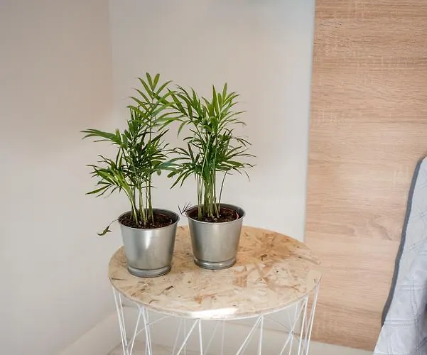 River Appartement Santander