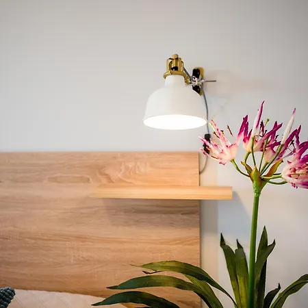 Apartament River